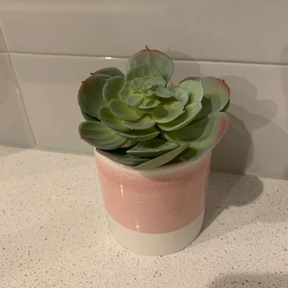 Faux Succulent / Plant in Pink & White Pot